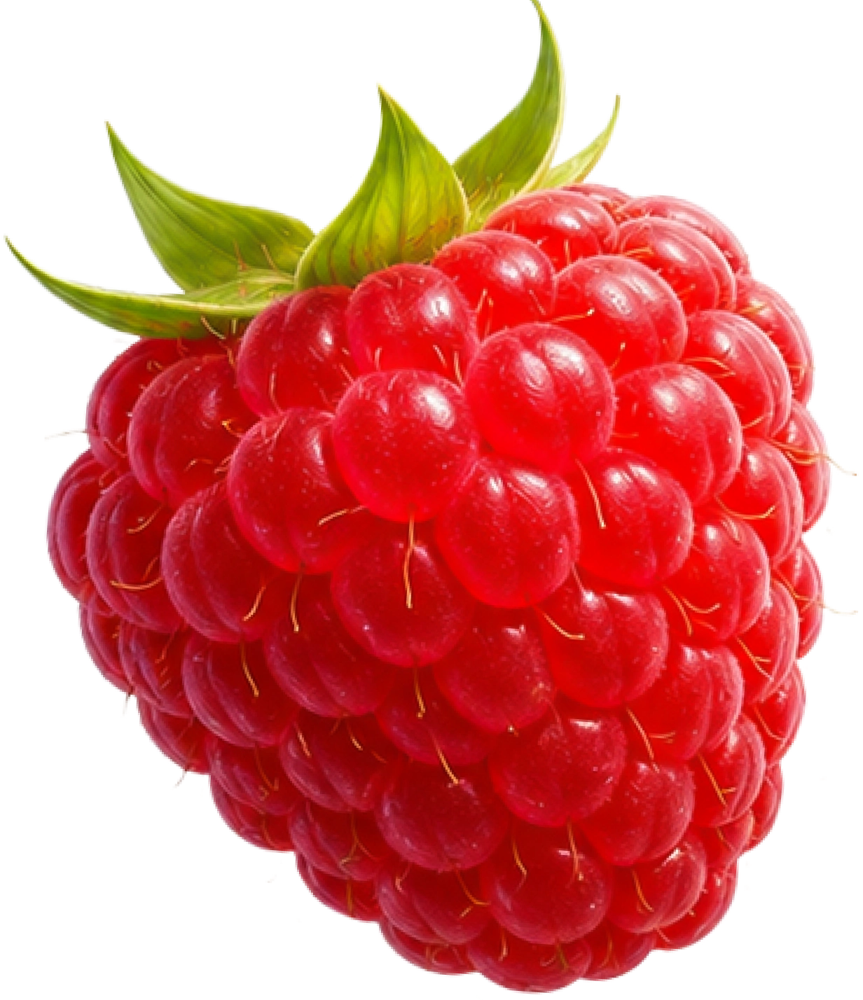 Interactive raspberry on the branch