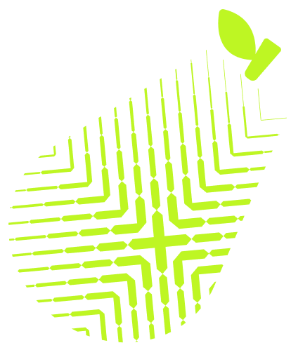Green Fruit Decoration