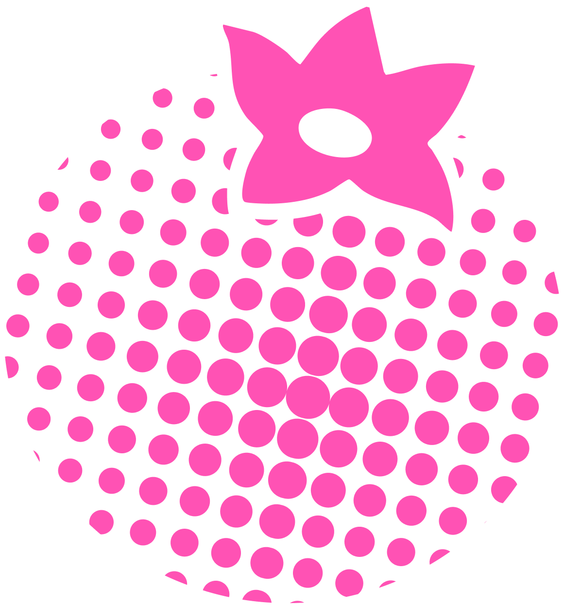 Blueberry Decoration