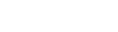 The world of