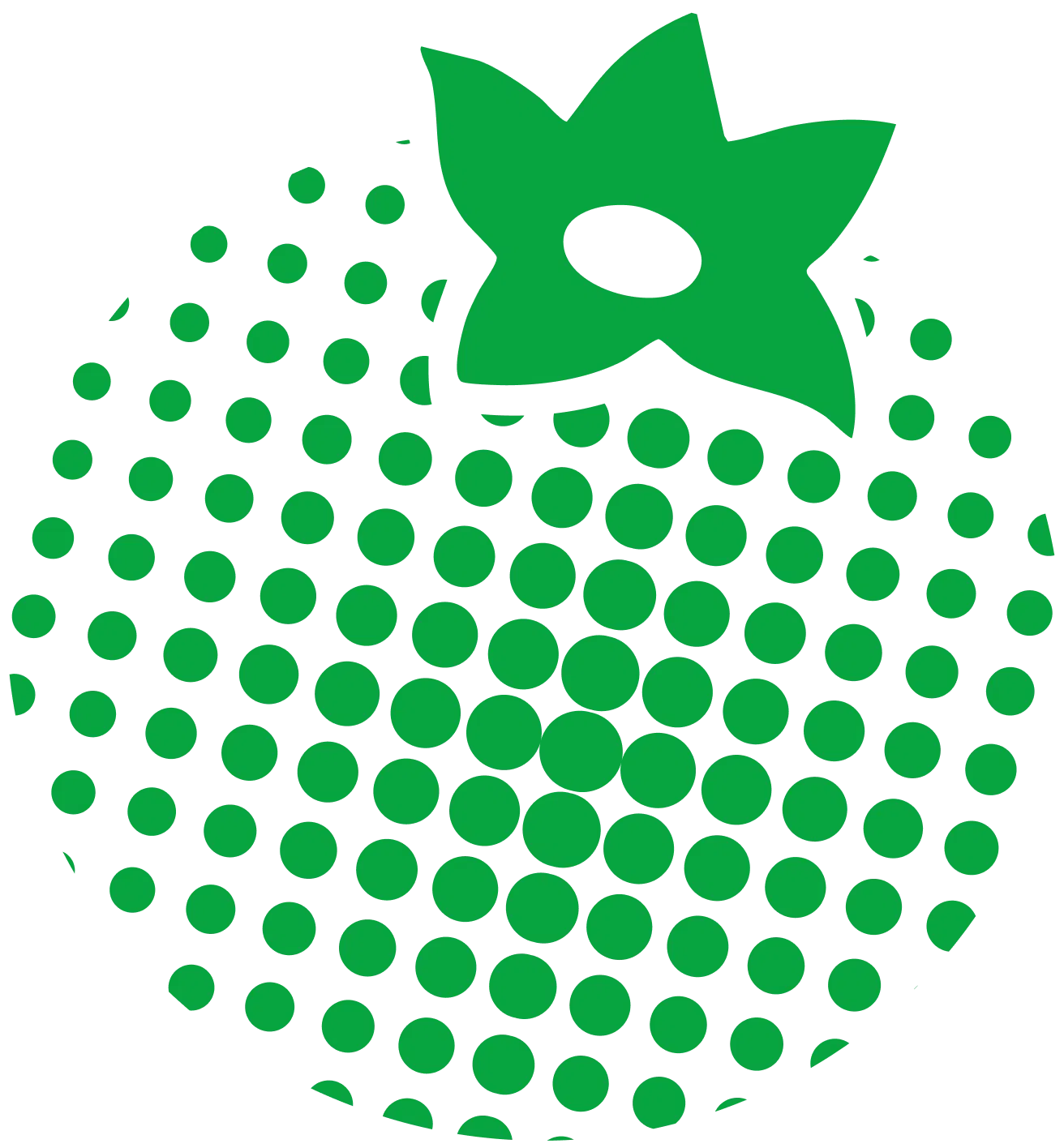 Green Fruit Decoration