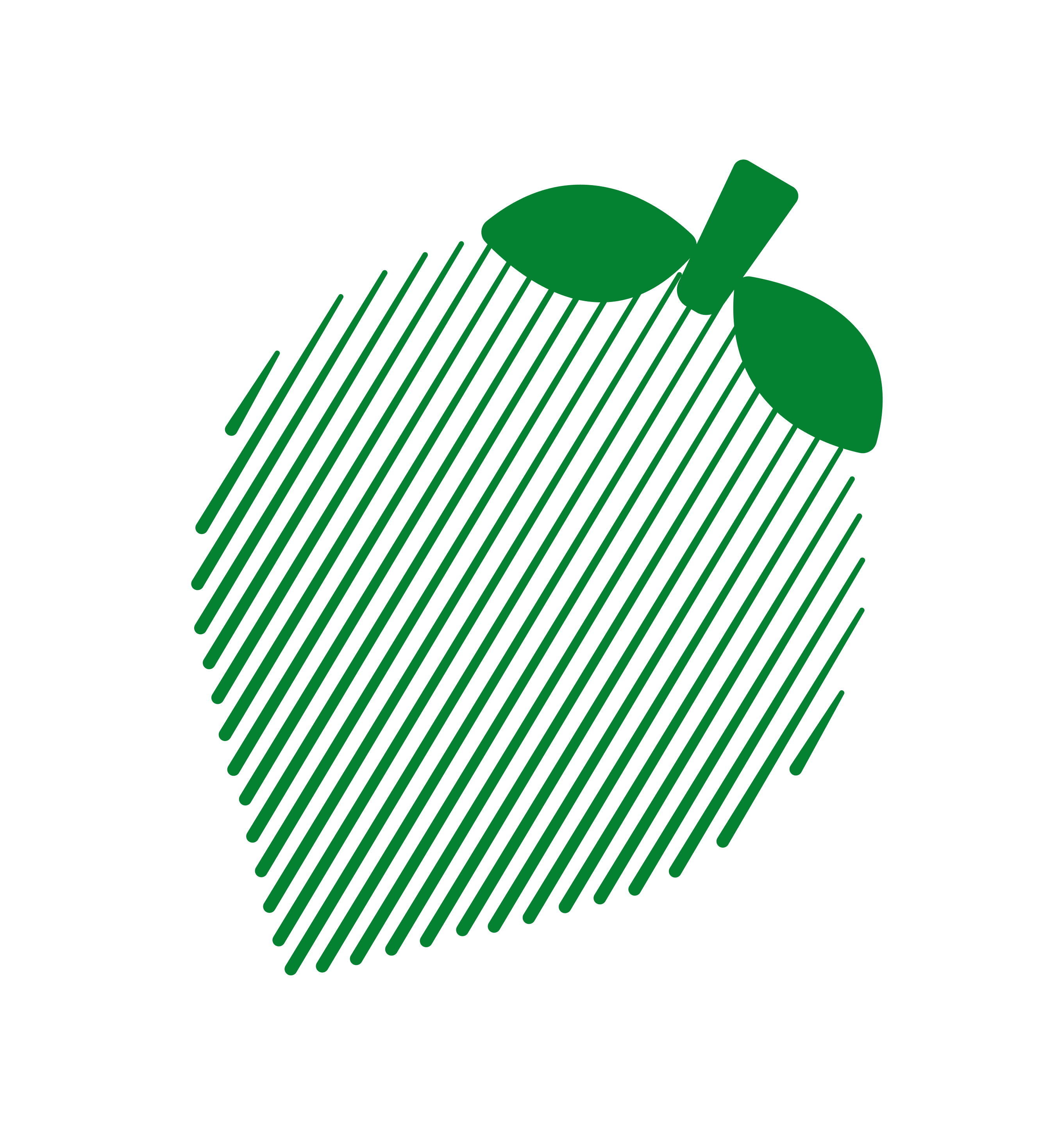 Raspberry Decoration