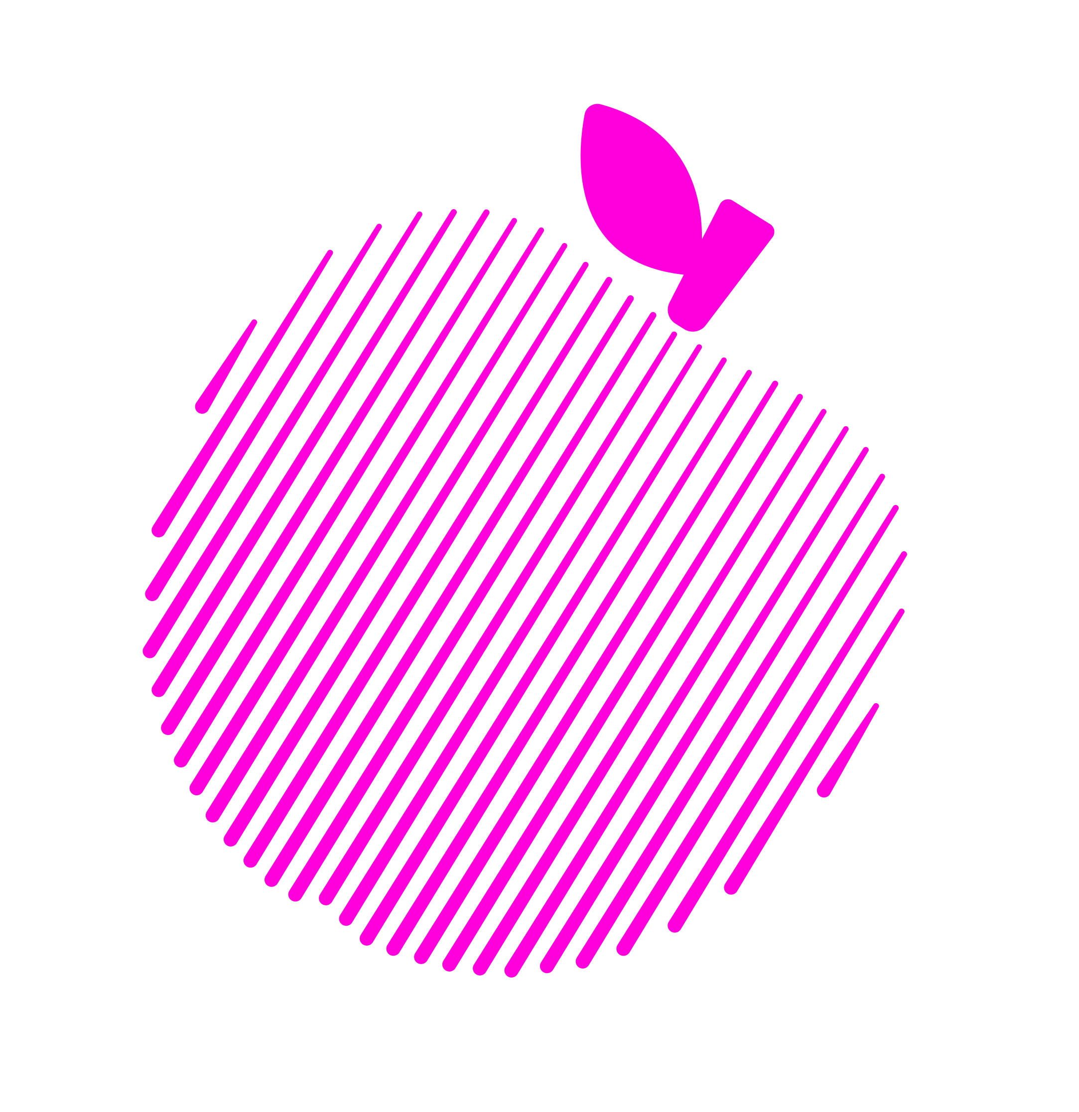 Green Fruit Decoration