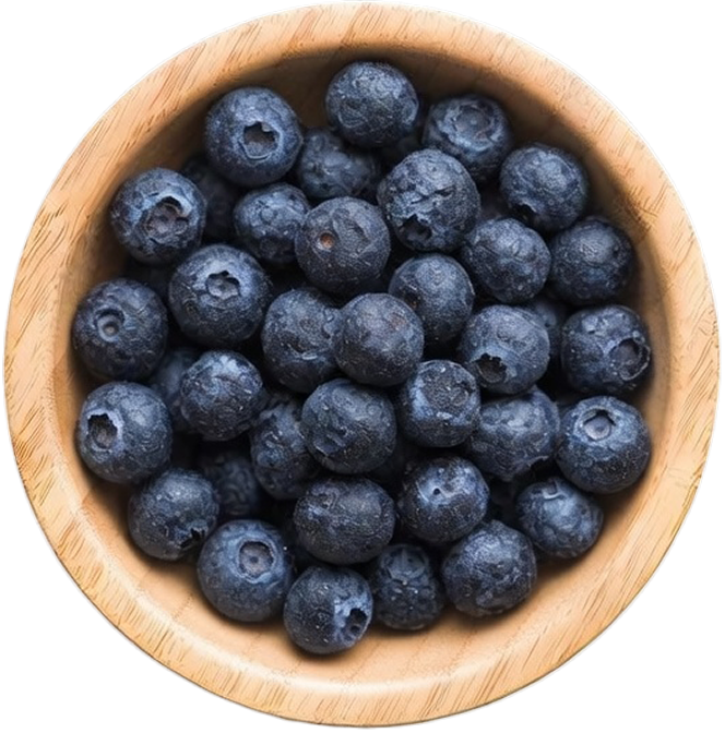 Freeze-Dried Blueberries