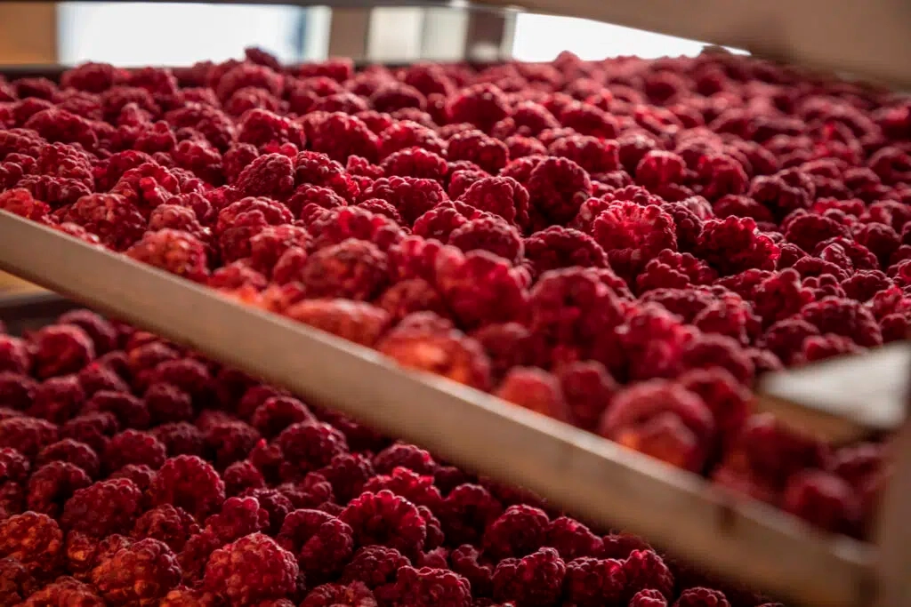 Fresh raspberries close-up